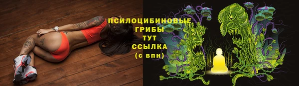 мескалин Алексин