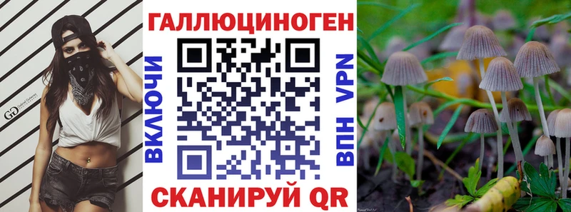 сколько стоит  площадка как зайти  Галлюциногенные грибы Magic Shrooms  Коркино 