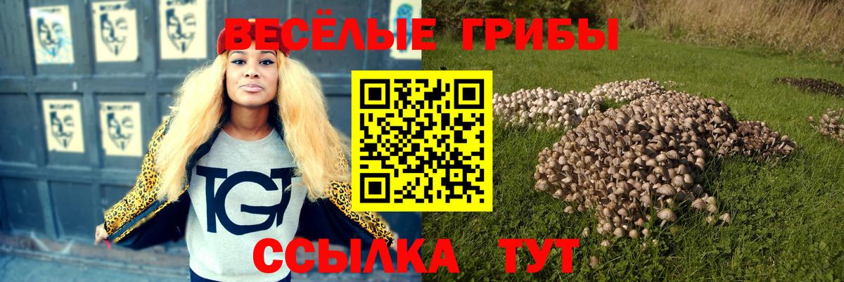 Галлюциногенные грибы ЛСД Коркино