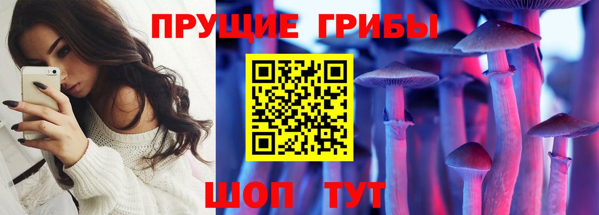 закладка  Галлюциногенные грибы GOLDEN TEACHER  Вход с VPN  Псилоцибиновые грибы GOLDEN TEACHER  Коркино 