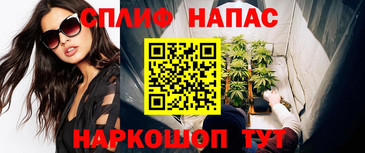 Бошки Шишки семена Коркино